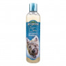 Bio-Groom So-Dirty Shampoo 12oz