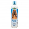 Bio-Groom White Ginger Shampoo 12oz