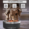 Coldest Dog Bowl - Stardust Glitter Black 42oz