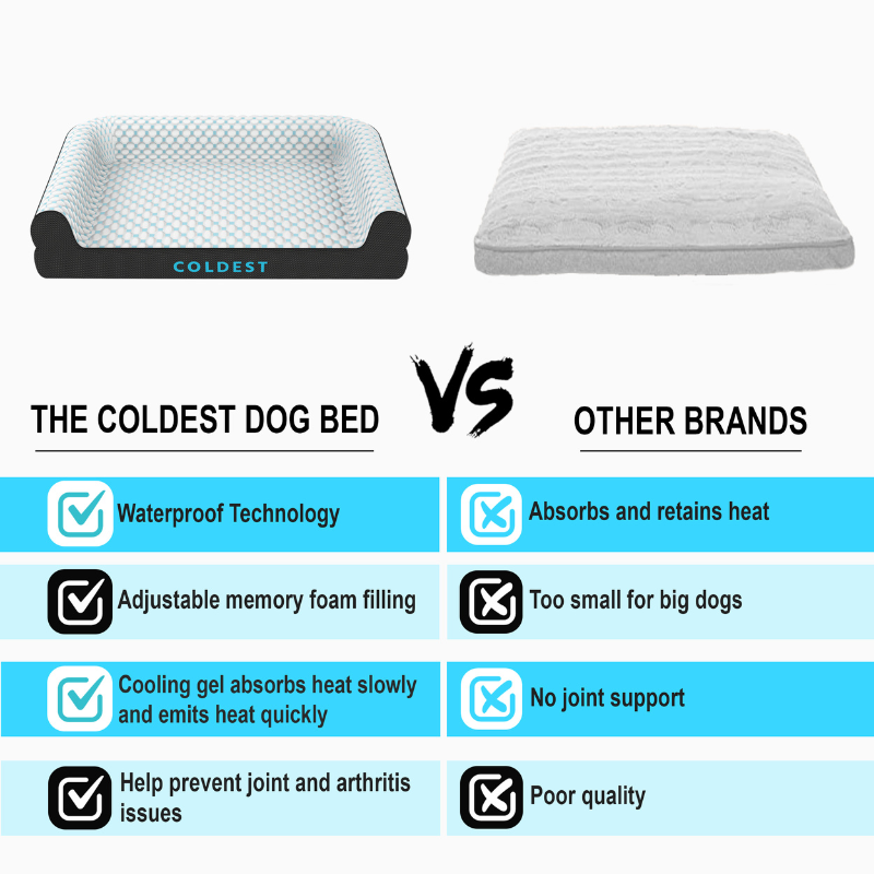 Coldest Dog Bed