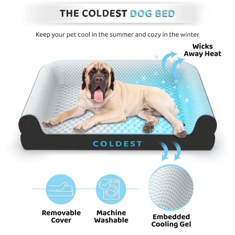 Coldest Dog Bed