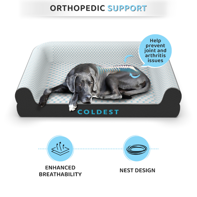 Coldest Dog Bed