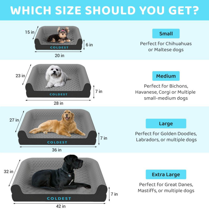 Coldest Dog Bed