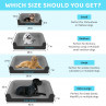 Coldest Dog Bed