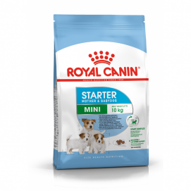 Royal Canin SHN Mini Starter Mother & Babydog