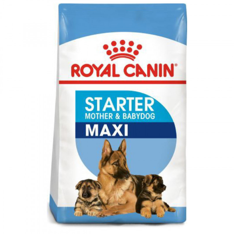 Royal Canin SHN MAXI Starter 4kg