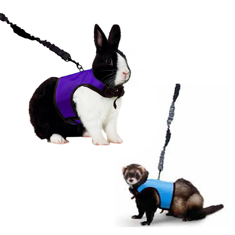 COMFORT HARNESS & STRETCHY LEASH – ARNÉS Y CORREA ELÁSTICA
