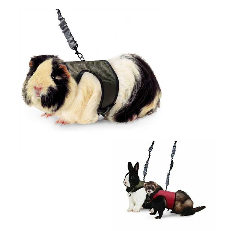 COMFORT HARNESS & STRETCHY LEASH – ARNÉS Y CORREA ELÁSTICA