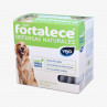 Viyo Fortalece