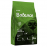 BALANCE CACHORRO