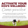 Nutrisource COME POOCH-A BEEF