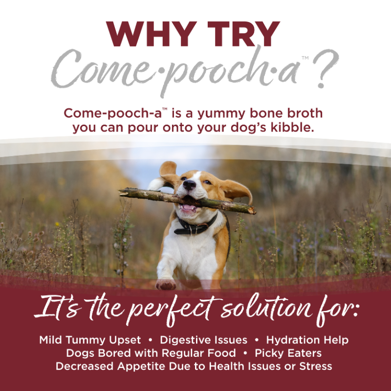 Nutrisource COME POOCH-A BEEF