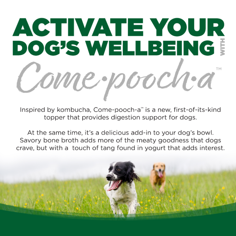 Nutrisource COME POOCH-A TURKEY