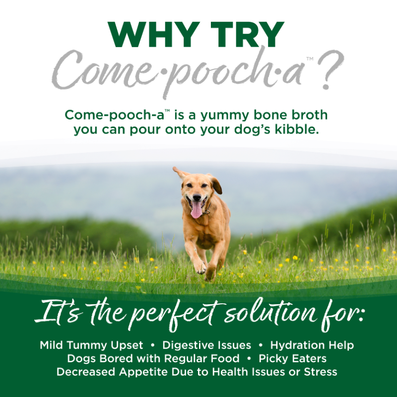 Nutrisource COME POOCH-A TURKEY