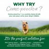 Nutrisource COME POOCH-A TURKEY