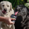 Yowup! Yogurt NATURAL DOG 115g