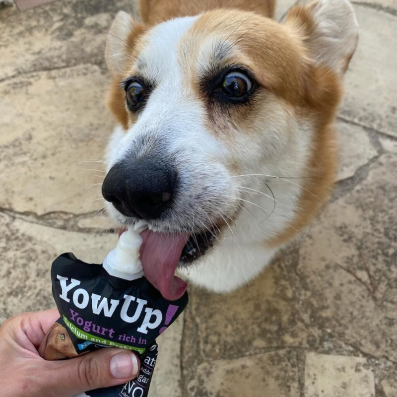 Yowup! Yogurt ARTICULAR DOG 115g