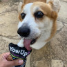 Yowup! Yogurt ARTICULAR DOG 115g