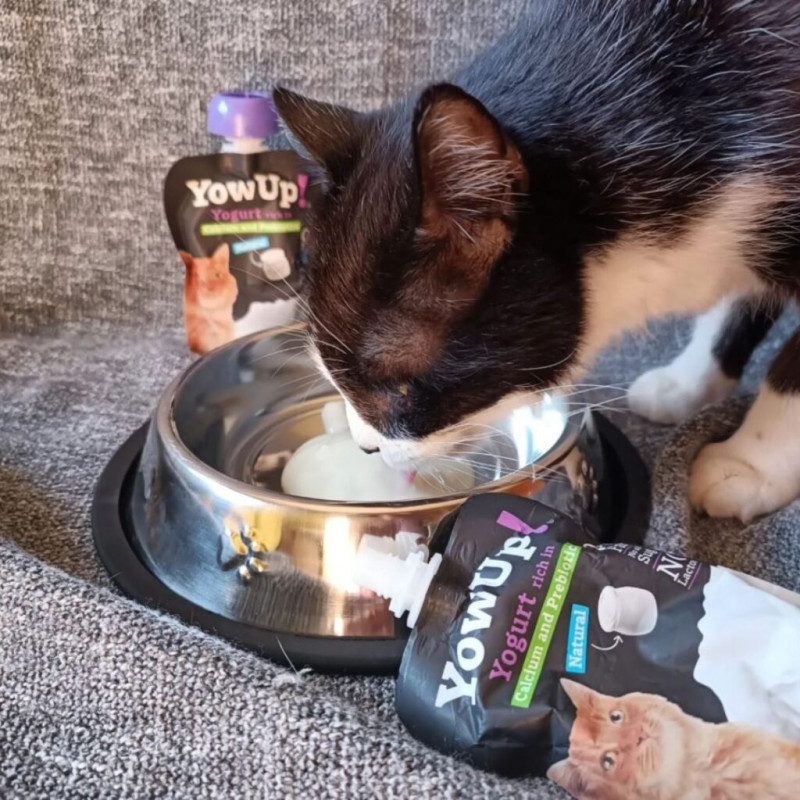 Yowup! Yogurt SKIN AND HAIR CAT 85gr