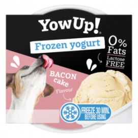 Yowup! Frozen Yogurt BACON CAKE 110g