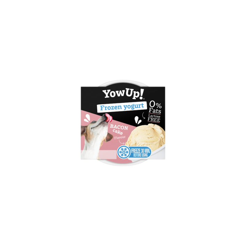 Yowup! Frozen Yogurt BACON CAKE 110g