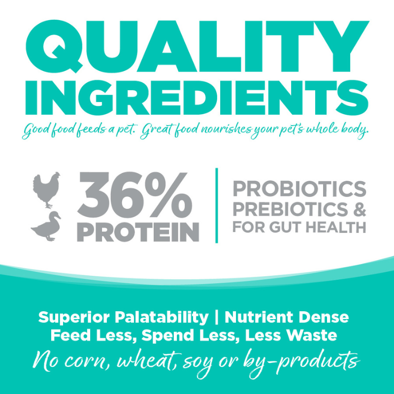 Nutrisource Conutry Select CAT & KITTEN CHICKEN & Duck CAT FOOD