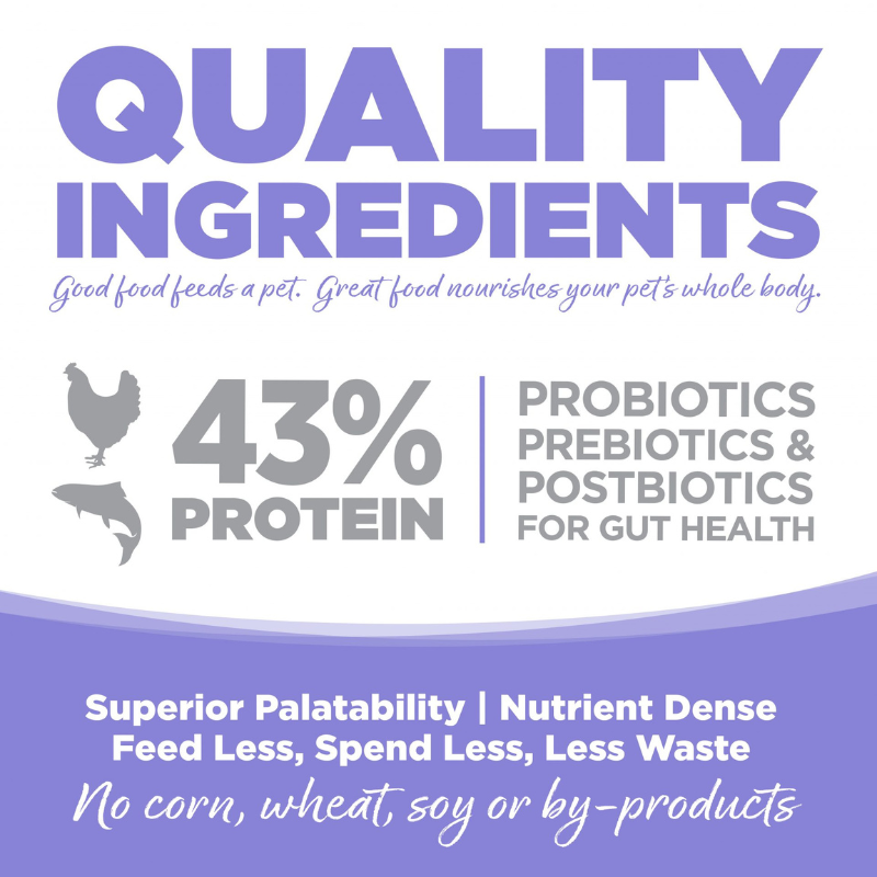 Nutrisource CAT & KITTEN CHICKEN & SALMON CAT FOOD