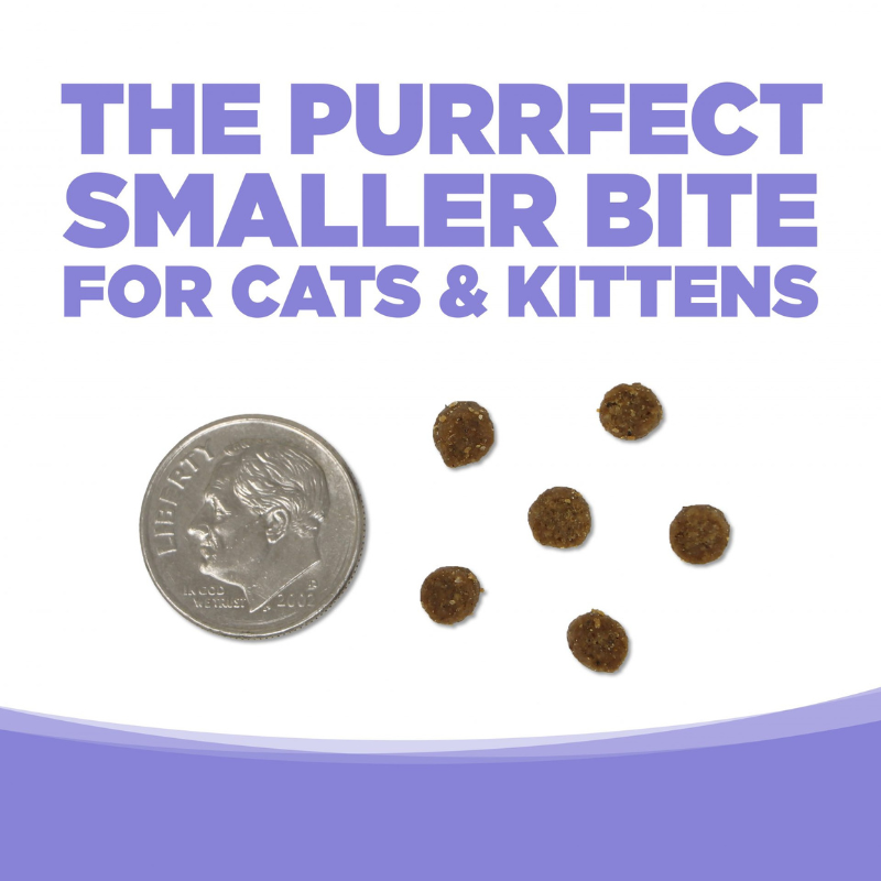 Nutrisource CAT & KITTEN CHICKEN & SALMON CAT FOOD