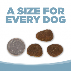 Nutrisource Element Series Open Waters