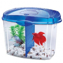 BETTA BOWL KIT 0.5 G AQUEON