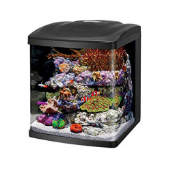 ACUARIO CORAL BIO CUBE LED – 16 GALONES Y 32 GALONES ACUARIO PARA PECES DE AGUA SALADA - MARINOS
