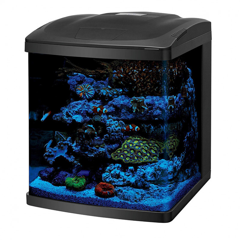 ACUARIO CORAL BIO CUBE LED – 16 GALONES Y 32 GALONES ACUARIO PARA PECES DE AGUA SALADA - MARINOS