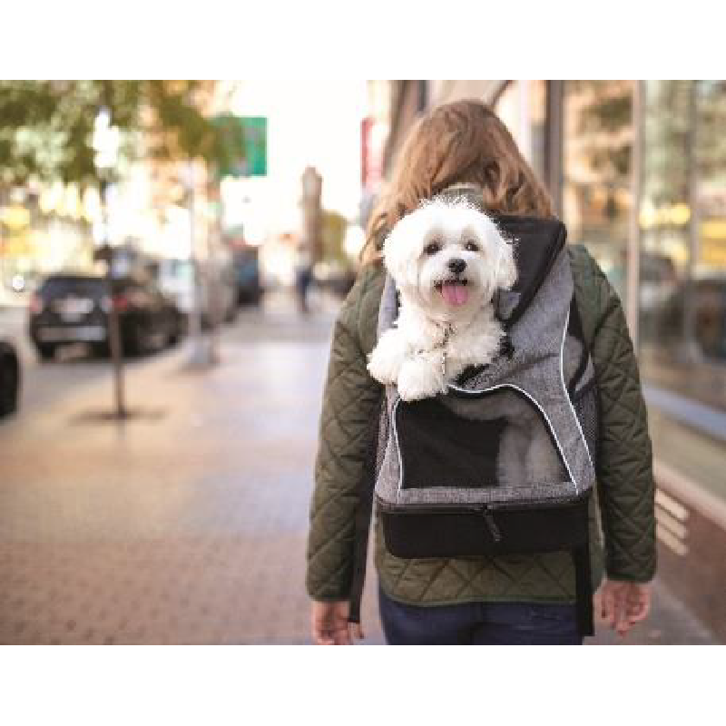 BACKPACK PET CARRIER BERGAN MOCHILA PARA LLEVAR MASCOTAS