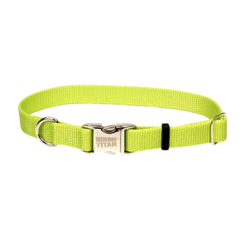 COLLARES SPECTRA - VERDE LIMA Y NARANJA