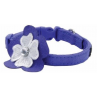 COLLAR Li´L PALS 3/8” – AZUL CON FLOR