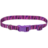 COLLAR PET ATTIRE – MORADO TIPO ZEBRA
