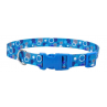 COLLAR PET ATTIRE – CELESTE CON BURBUJAS 1"