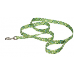 TIRAPERRO PET ATTIRE – VERDE CON PUNTOS