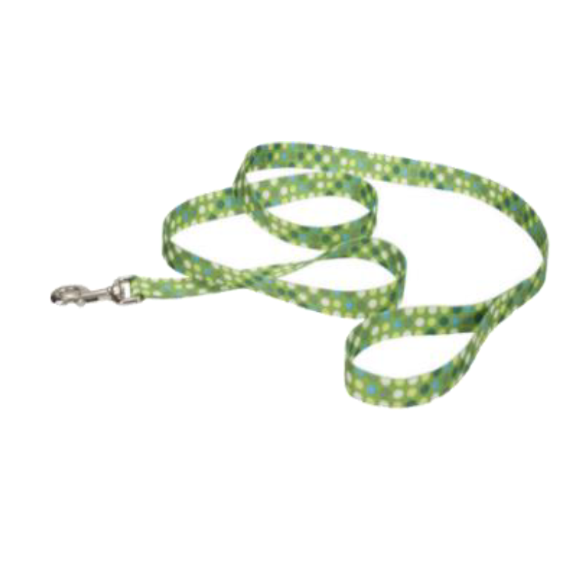 TIRAPERRO PET ATTIRE – VERDE CON PUNTOS