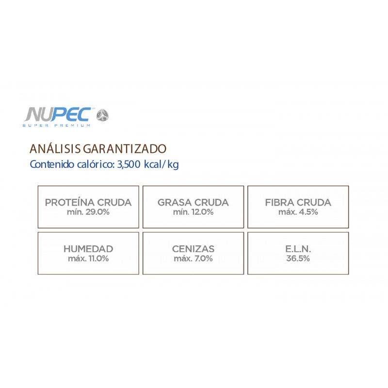 Nupec Senior