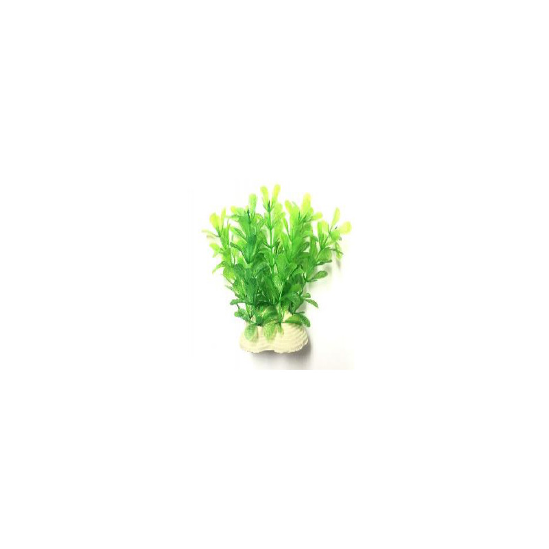 PLANTAS PARA PECERAS