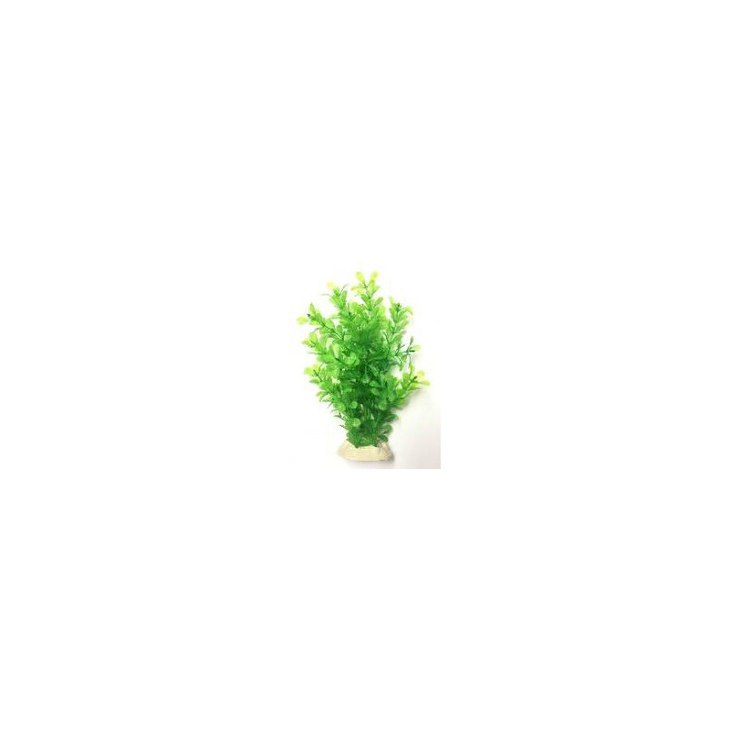 PLANTAS PARA PECERAS