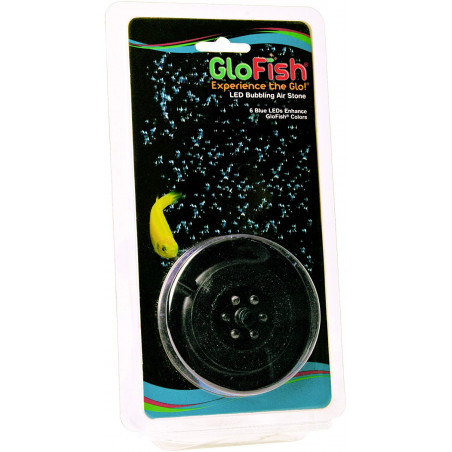 glofish bubbler bubbling tetra peceras petco