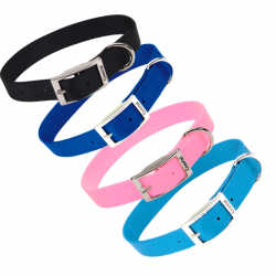 COLLAR DE HEBILLA PARA PERRO