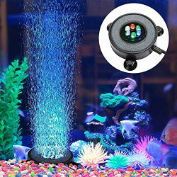 glofish bubbling