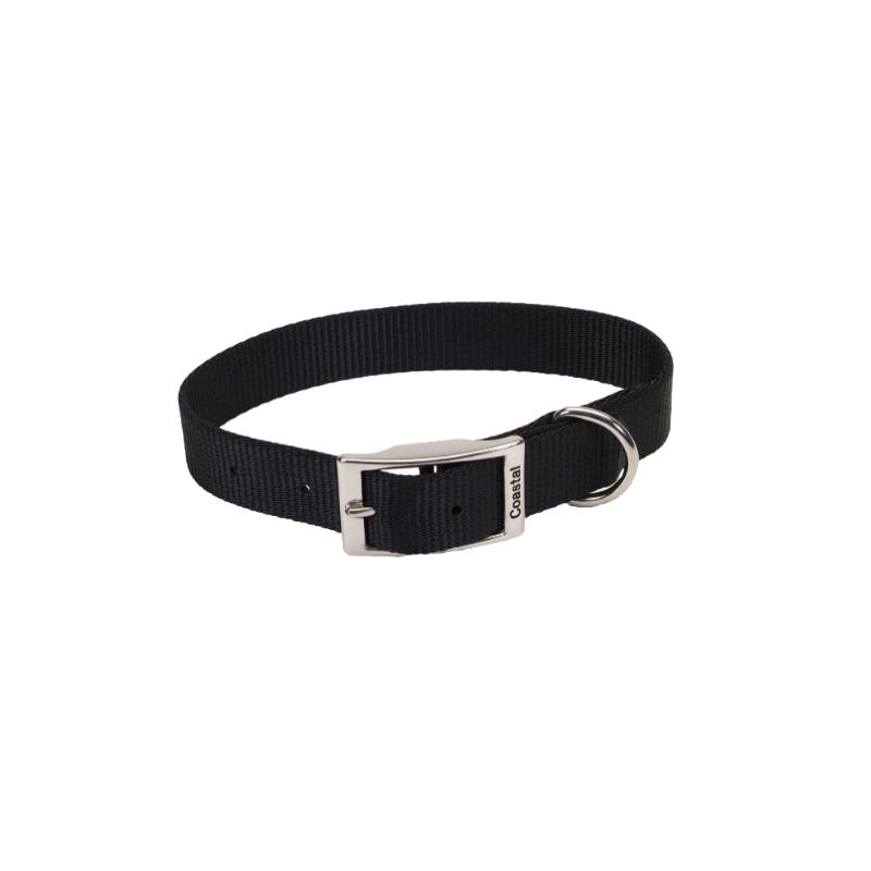 COLLAR DE HEBILLA PARA PERRO