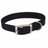 COLLAR DE HEBILLA PARA PERRO