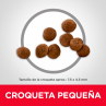 Hills Science Diet Cachorro Toy