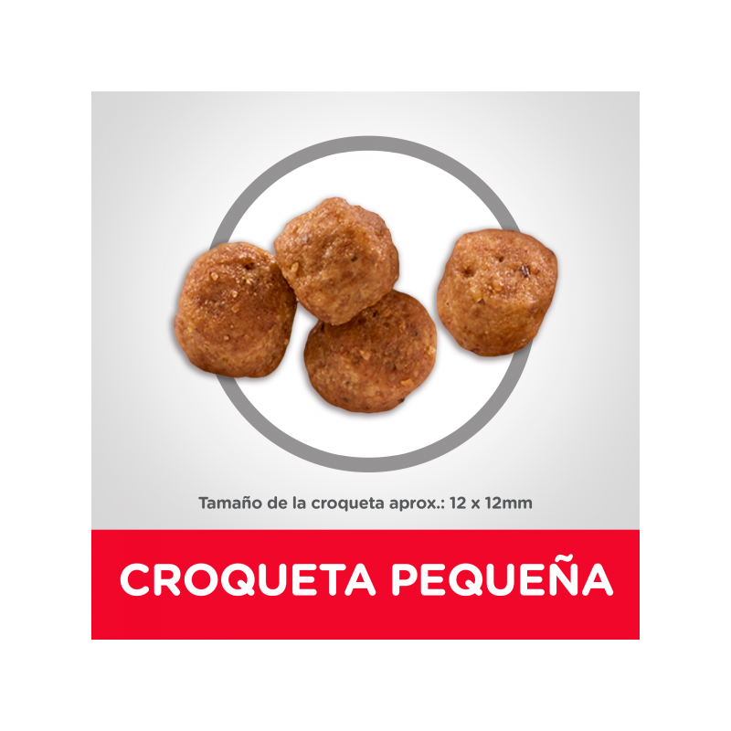 Hills Science Diet SENIOR Original. Sabor a Pollo y Arroz