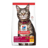 Hills Science Diet Gato Adulto